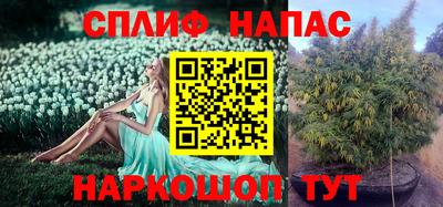 прущий лед Гай